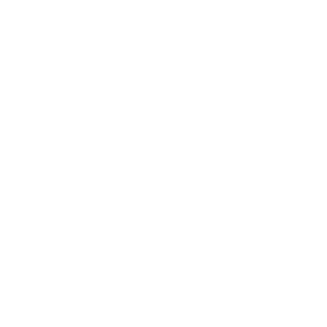 kauno autobusai logotipas