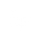 Kaunas pilnas kultūros logotipas
